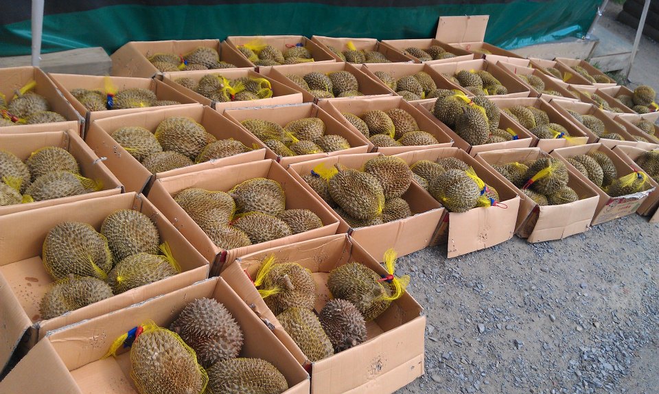 534288_4129002495951_1104899954_n